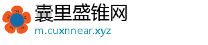囊里盛锥网